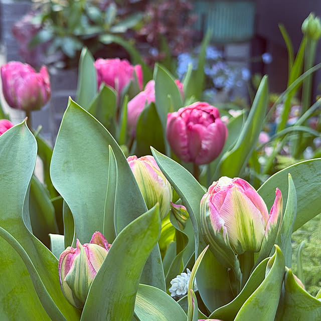 DAYONEさんの部屋