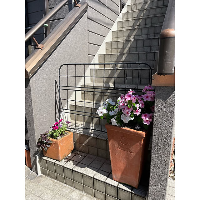 momocchiさんの部屋