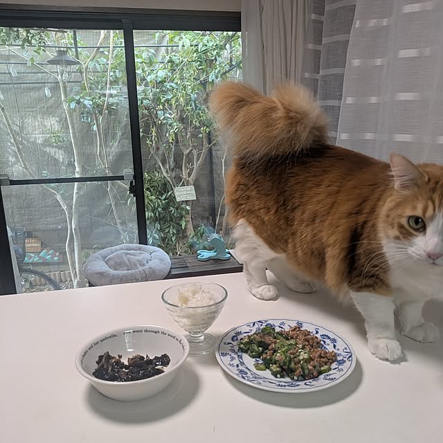 mori_6_12さんの部屋