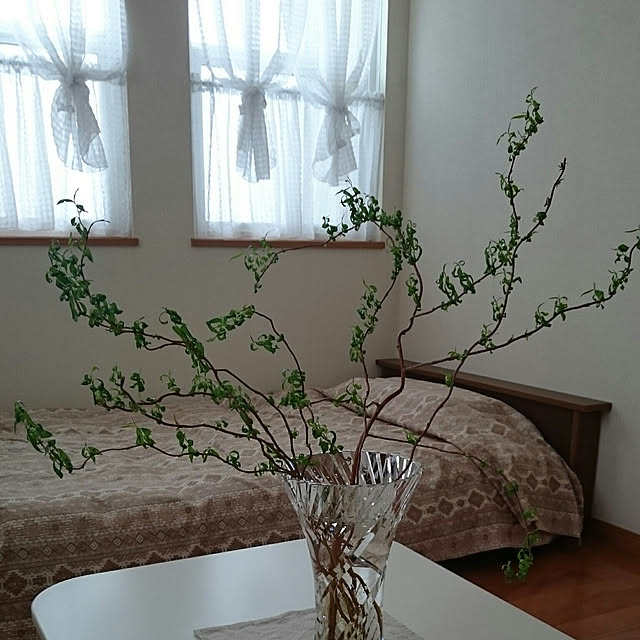 部屋全体のインテリア実例 - 2017-11-24 09:24:31
