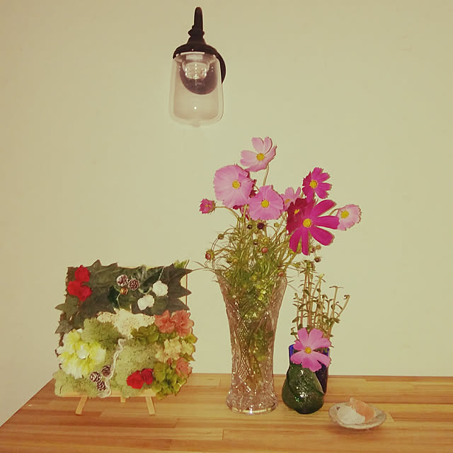 portulacaさんの実例写真
