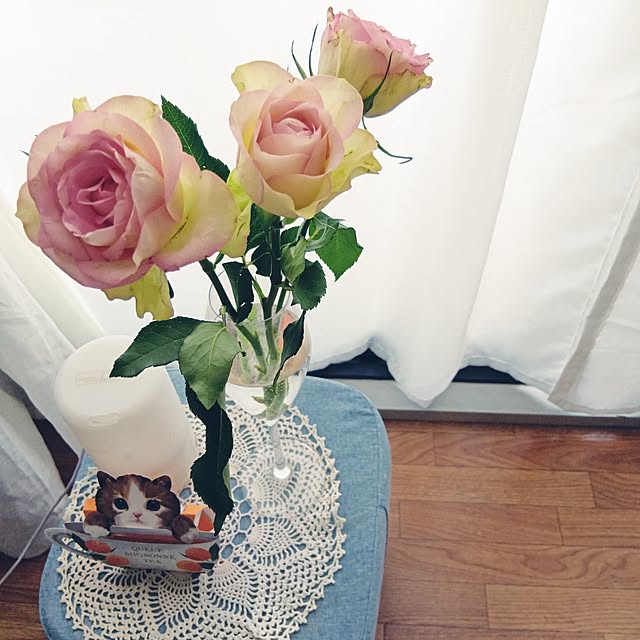 Spicaさんの部屋