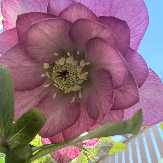 bestwishes.ryokoさんの部屋