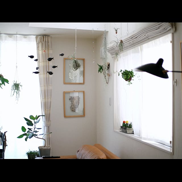 koenyokoさんの実例写真