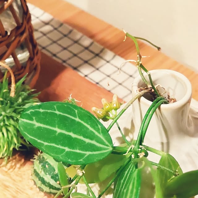 Haさんの部屋