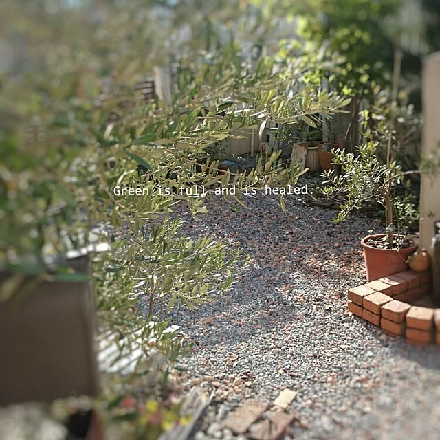 naoonさんの実例写真