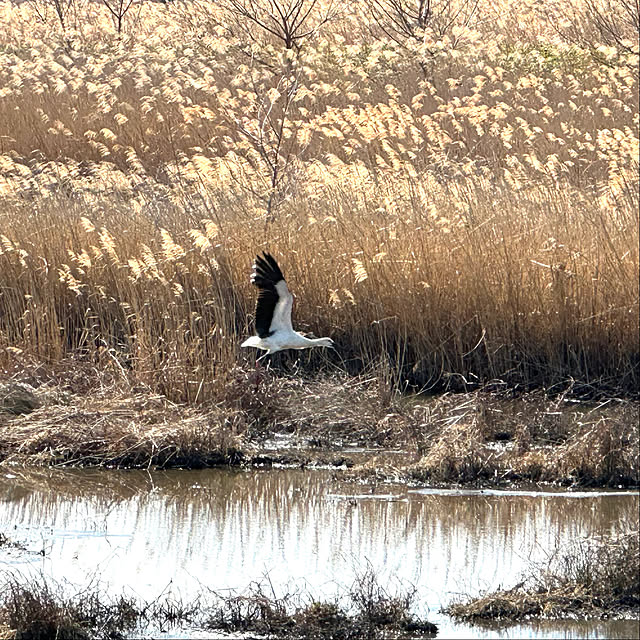 mizucchiさんの部屋