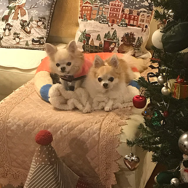 saraminさんの実例写真