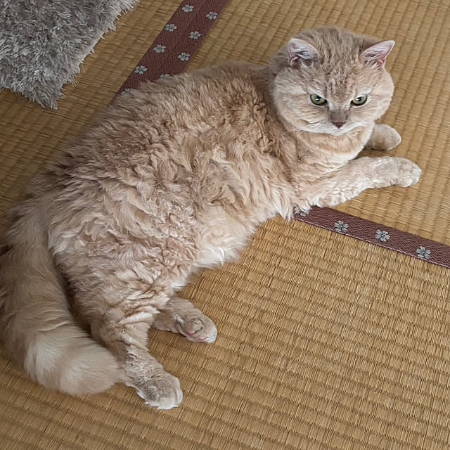 naokoさんの部屋