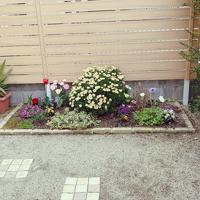 satomiさんの実例写真