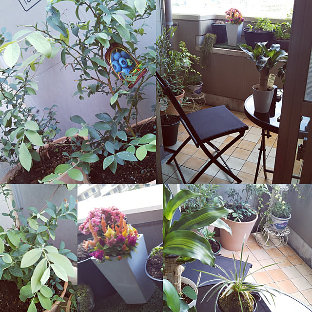 Satikoさんの部屋