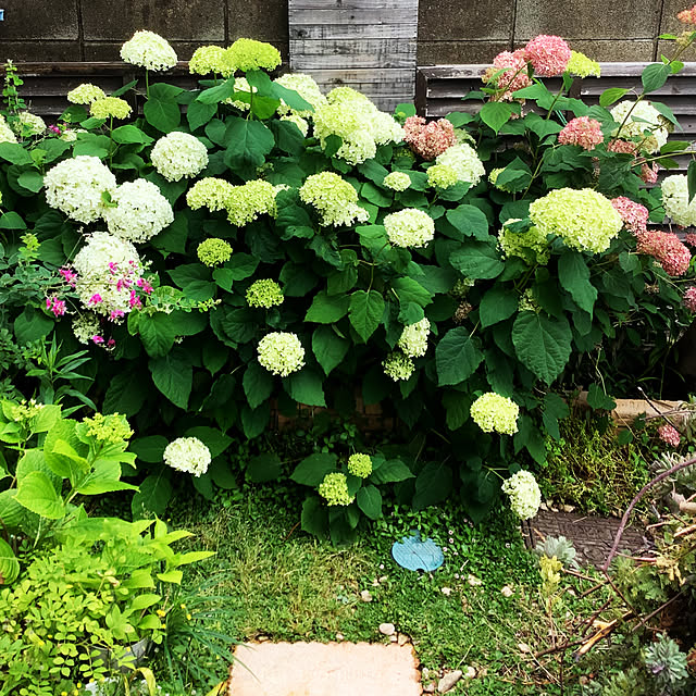 taeさんの部屋