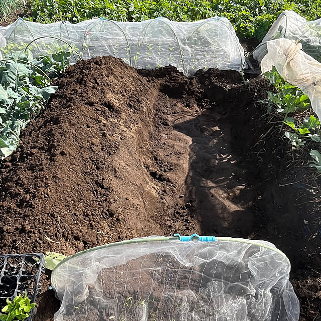 EMIKOさんの実例写真