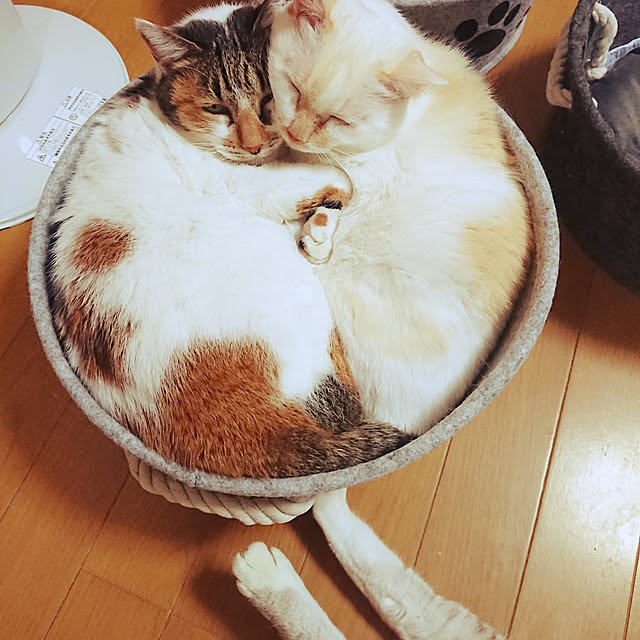 nachiさんの実例写真