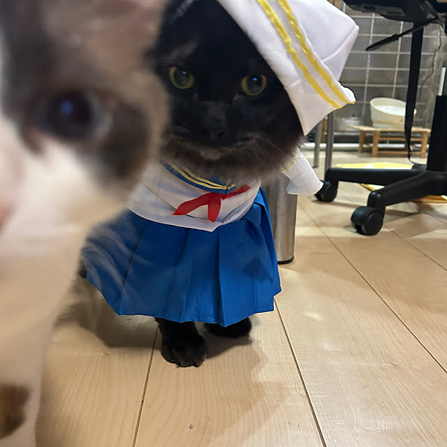 miruさんの部屋