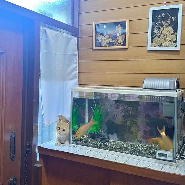 NOAHさんの部屋