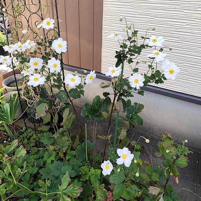 mutsuさんの部屋