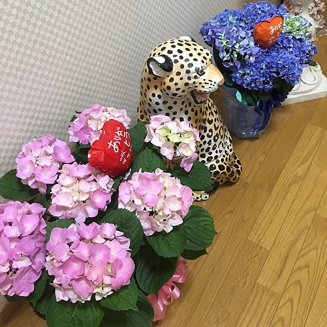 TAKOさんの実例写真