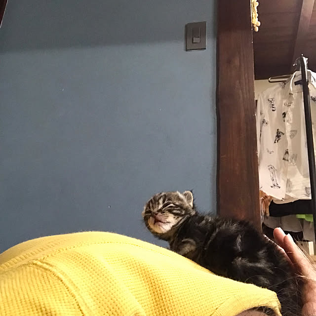 Uruさんの部屋