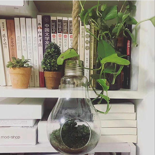 hotogreさんの実例写真