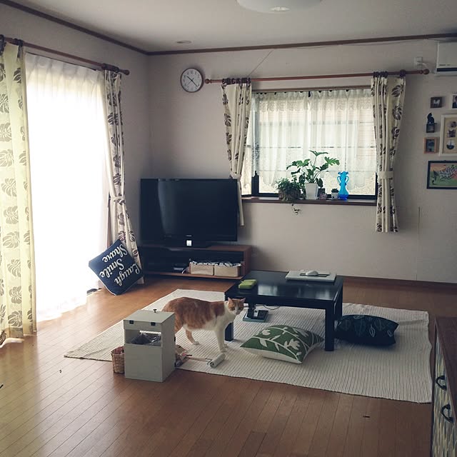 Kinanさんの実例写真