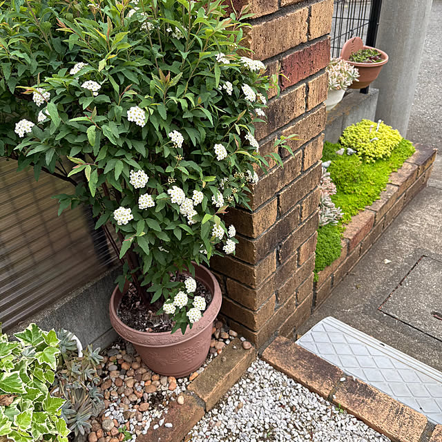 nannoさんの部屋