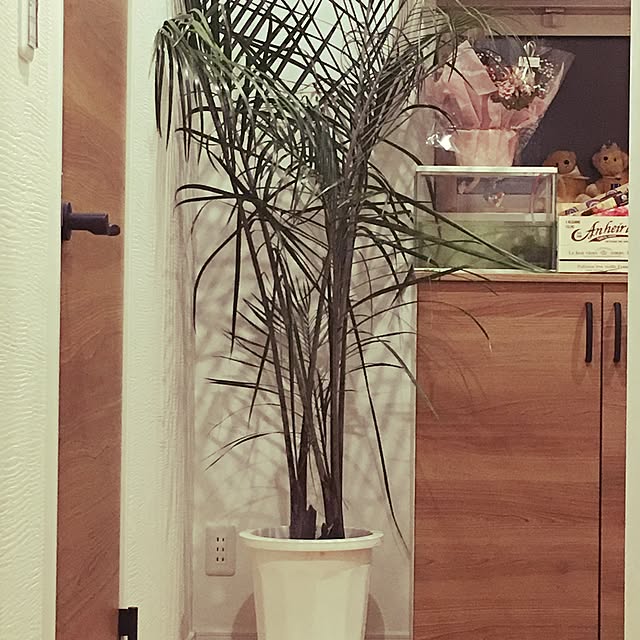 chapepoさんの実例写真