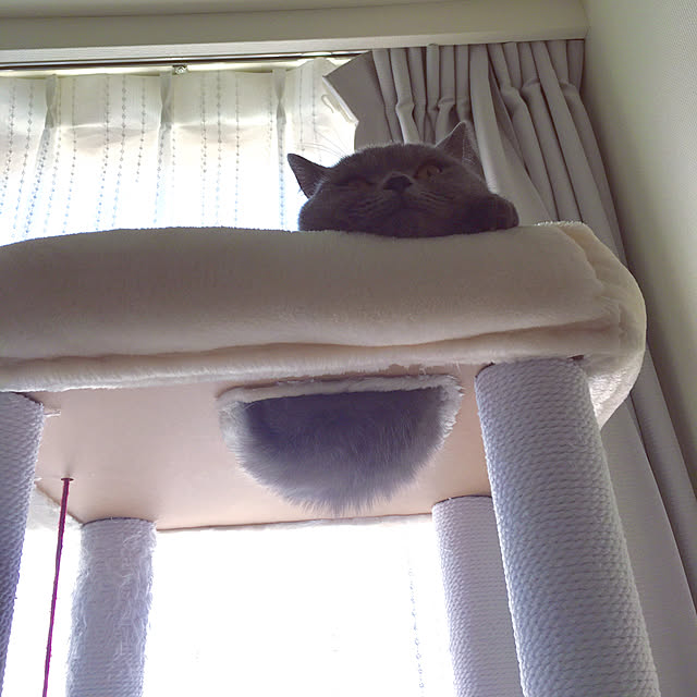kittyさんの実例写真