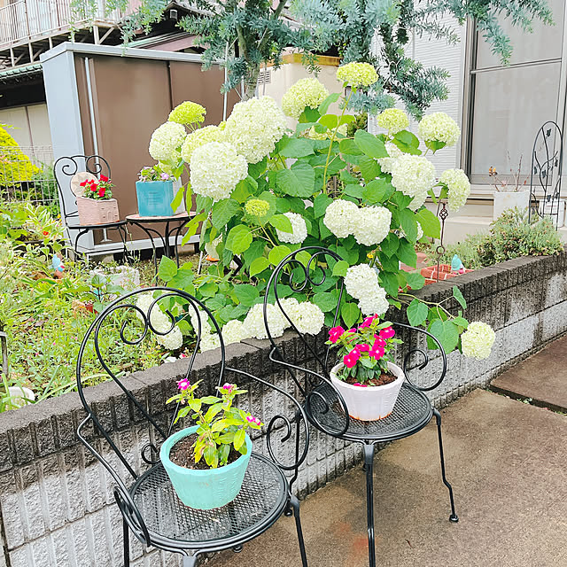 eriharuさんの部屋