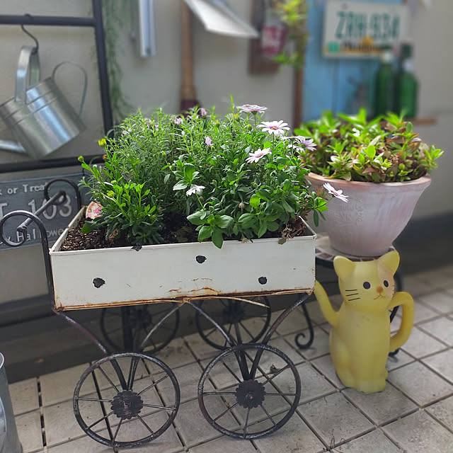 mayumiさんの実例写真