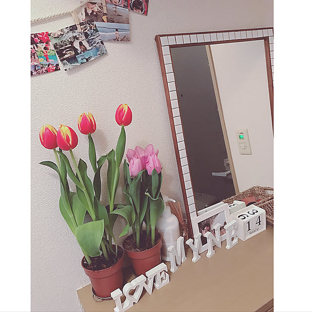 nicochan0415さんの実例写真