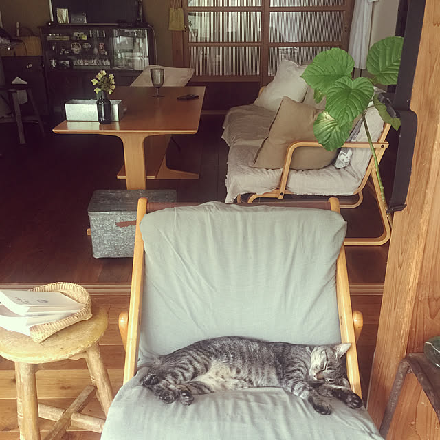 PEさんの実例写真