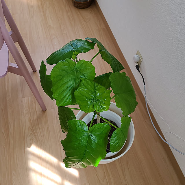 Miri.さんの実例写真