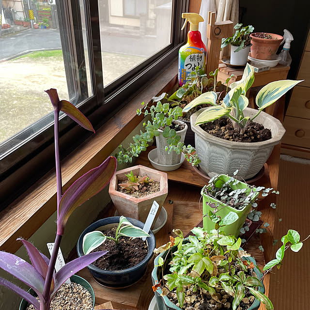 buchiさんの部屋