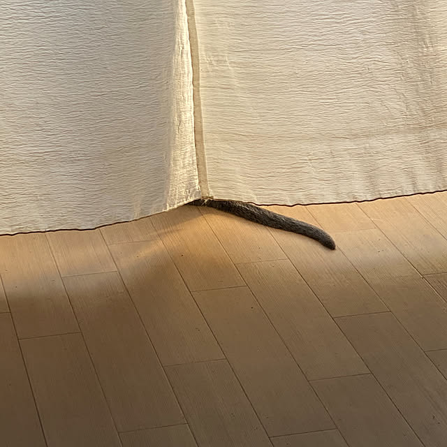 meさんの実例写真
