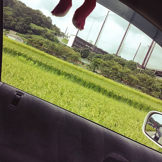 Naomiさんの実例写真