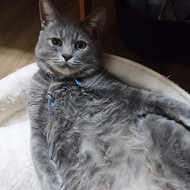 tomokoさんの実例写真