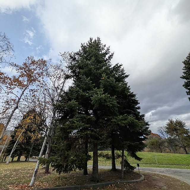 botanさんの部屋