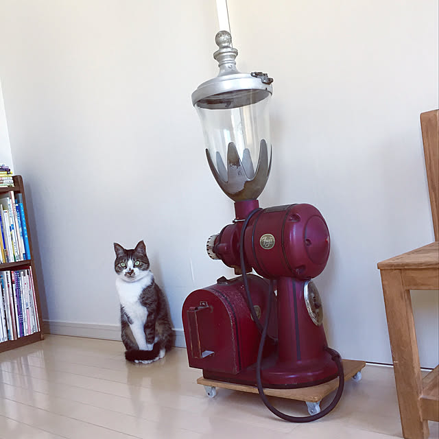JUENさんの実例写真