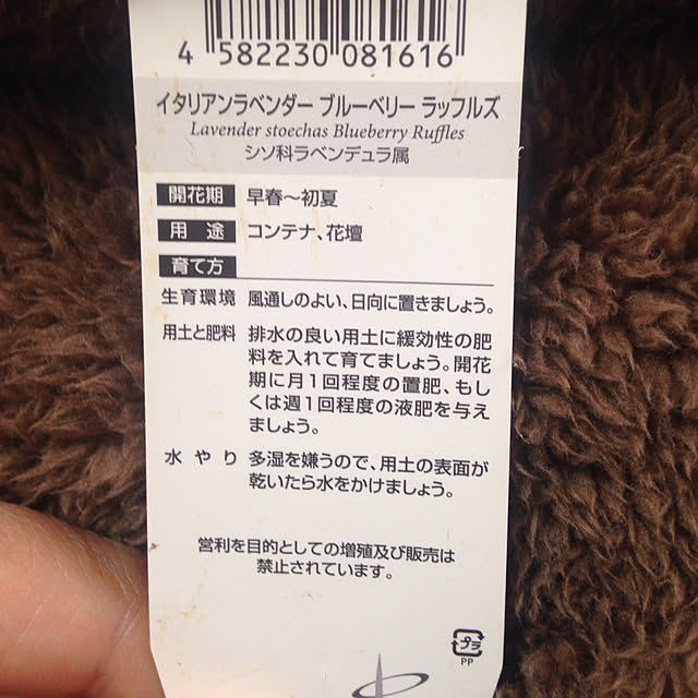 Akikoさんの実例写真