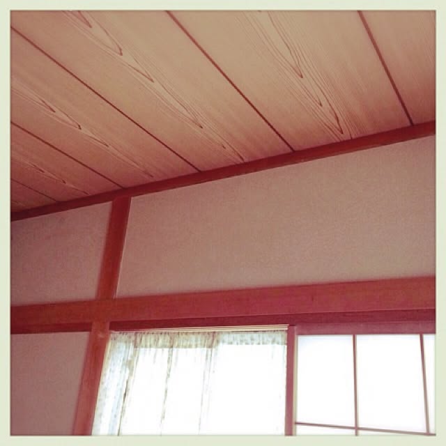 mintcatさんの実例写真