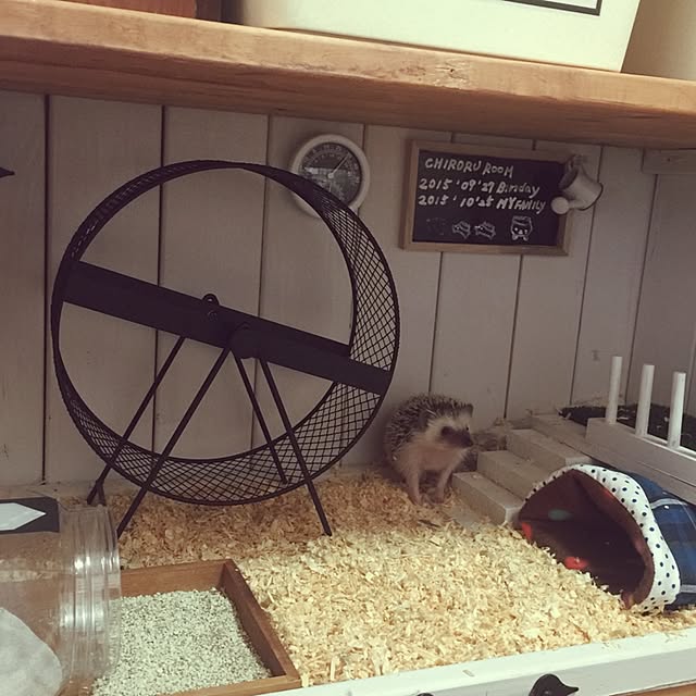 RURULOVEさんの実例写真