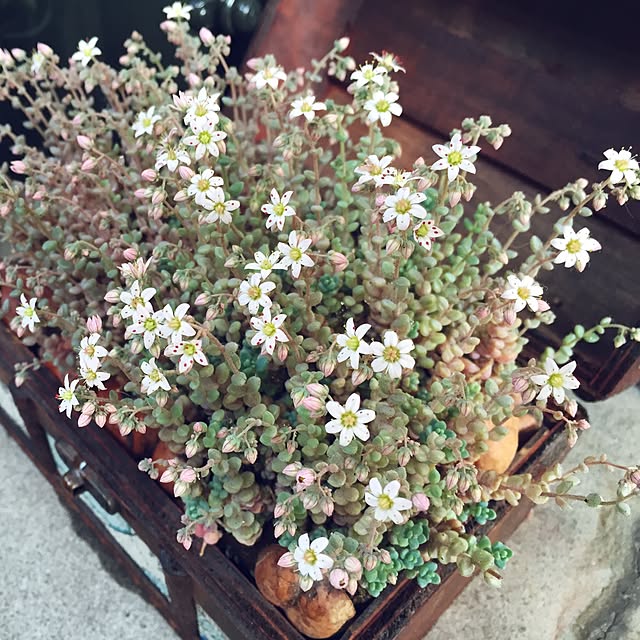 namisanさんの実例写真