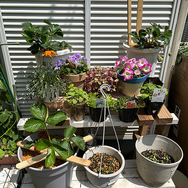 ikunyanさんの部屋
