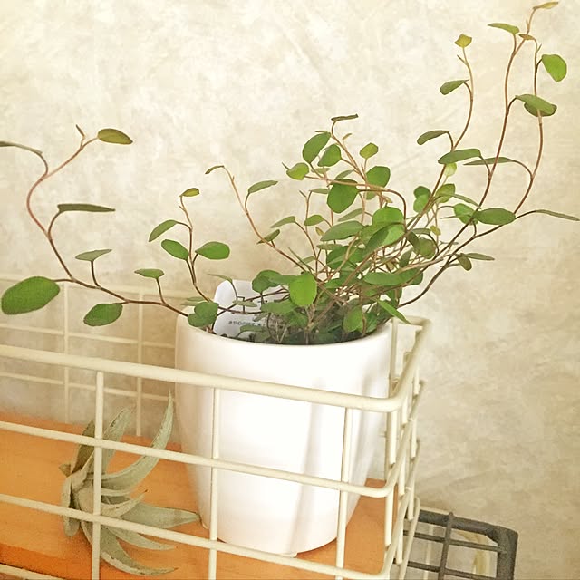 10さんの実例写真