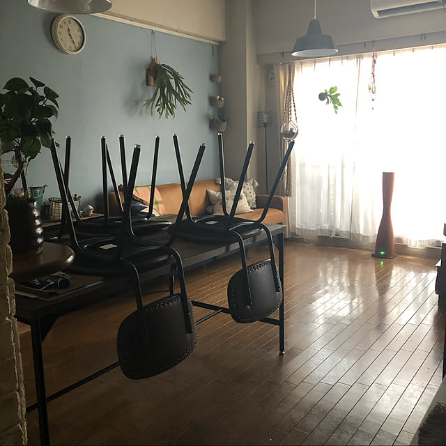 kiyomiさんの実例写真