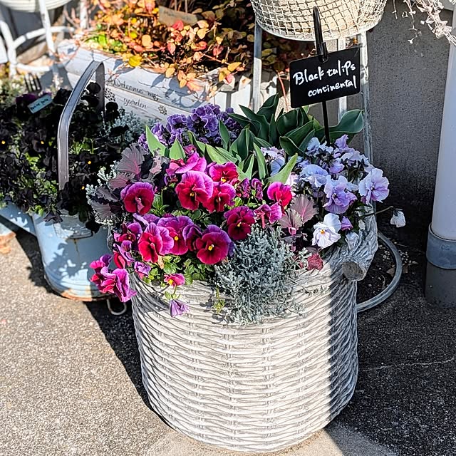 purpureさんの実例写真