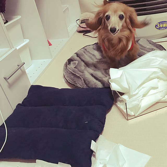Arisaさんの実例写真