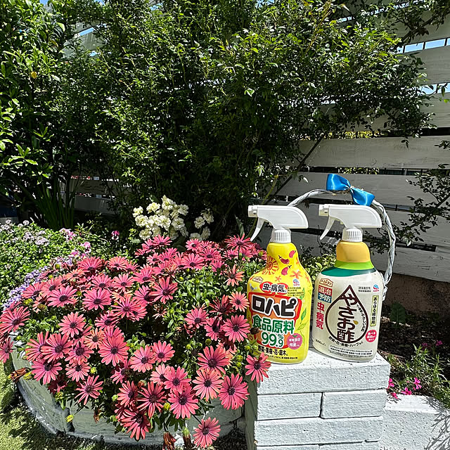 Megumiさんの実例写真