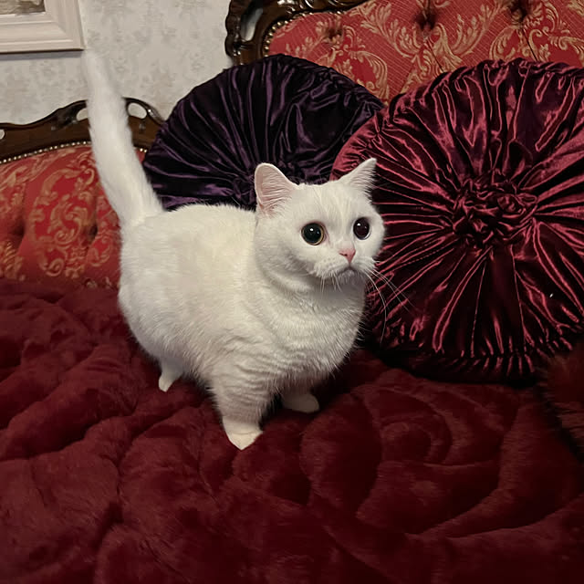 AYUKOさんの部屋